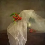 martwa natura z jarzębiną