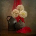 martwa natura z dmuchawcami