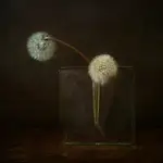 martwa natura z mleczami