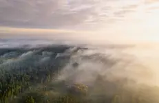 Październik