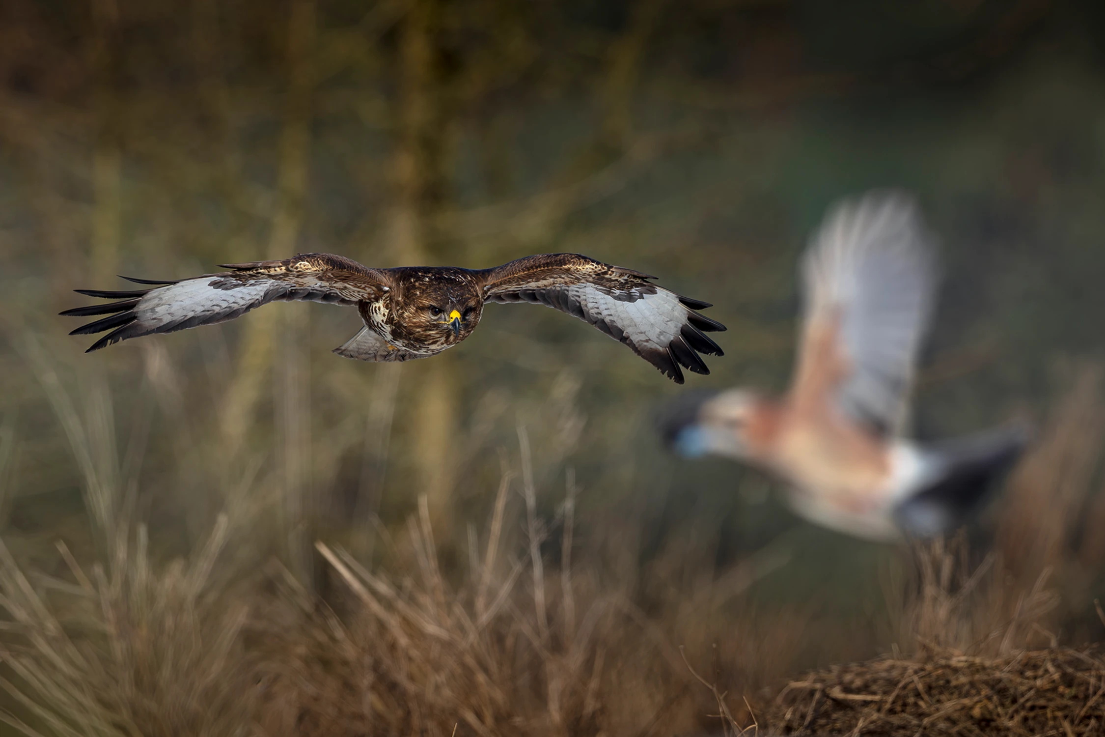Nic mnie nie powstrzyma przed weekendem