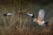 Nic mnie nie powstrzyma przed weekendem