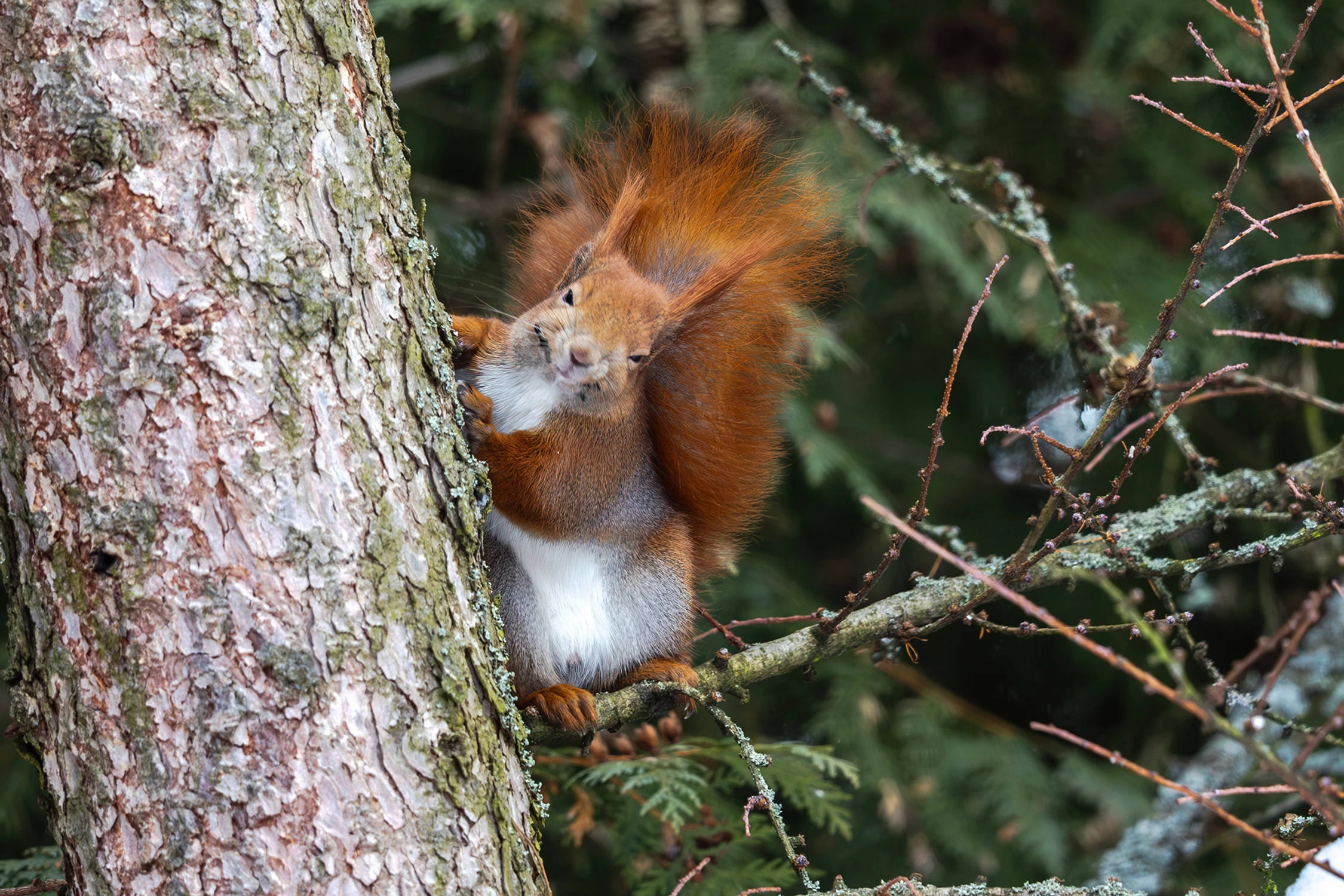 Co ... zimno ... 😛  hi hi hi