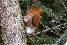 Co ... zimno ... 😛  hi hi hi