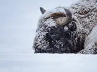 Ale ten tydzień się ciągnie ....