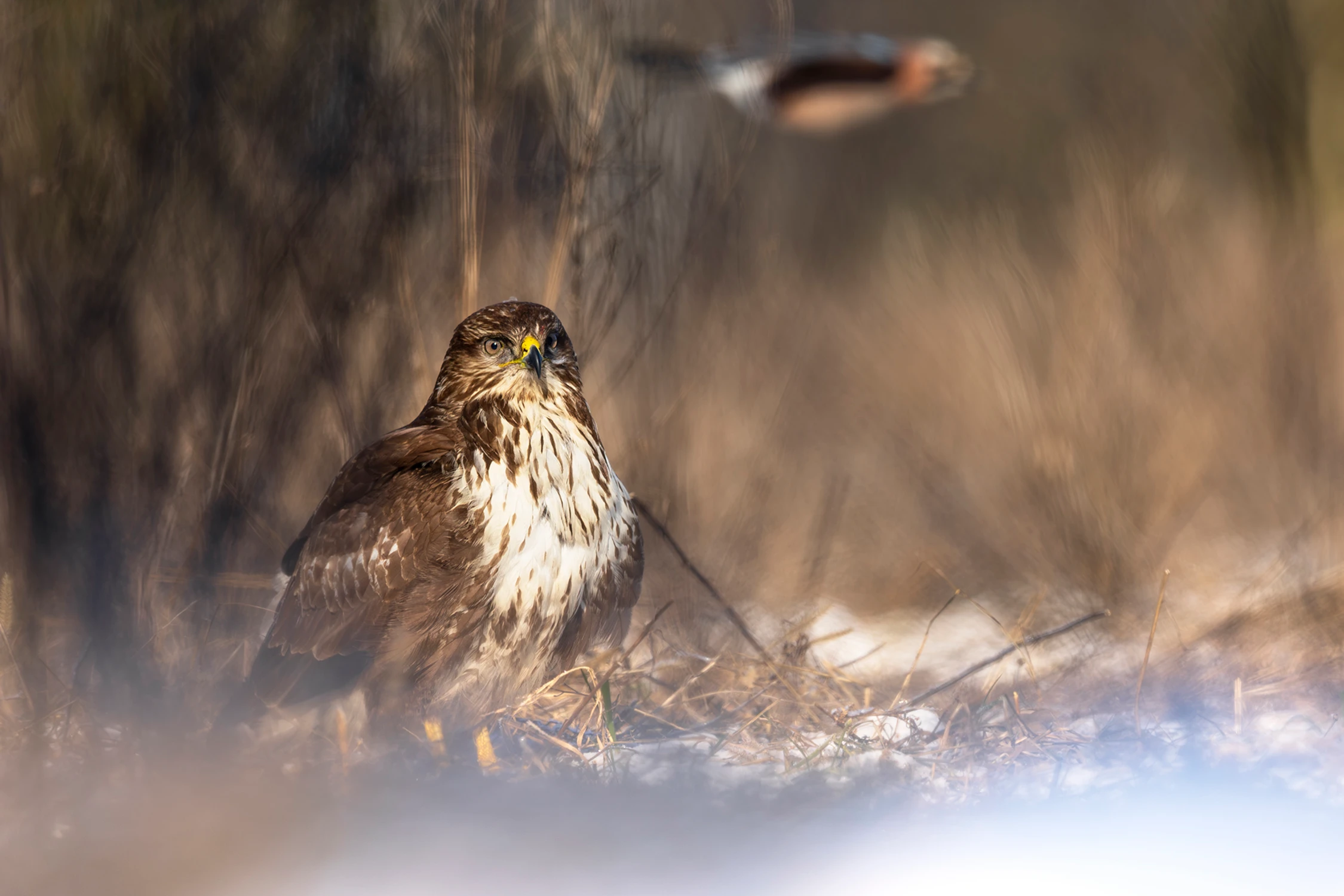 Kiedy dociera do Ciebie ta myśl ...że już poniedziałek ...