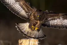 Czas kończyć ten tydzień 