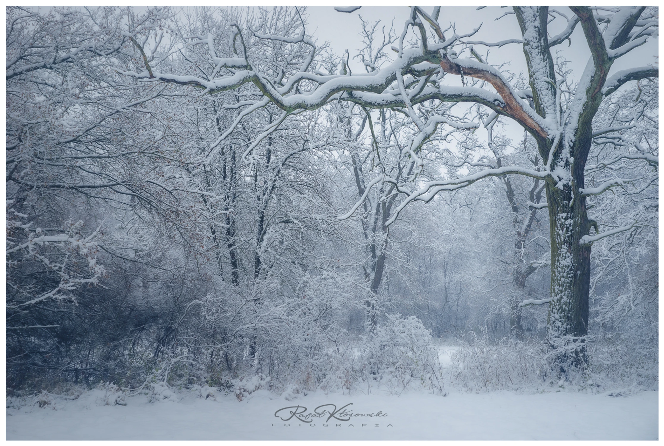 Spadł tylko na chwilę