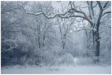 Spadł tylko na chwilę