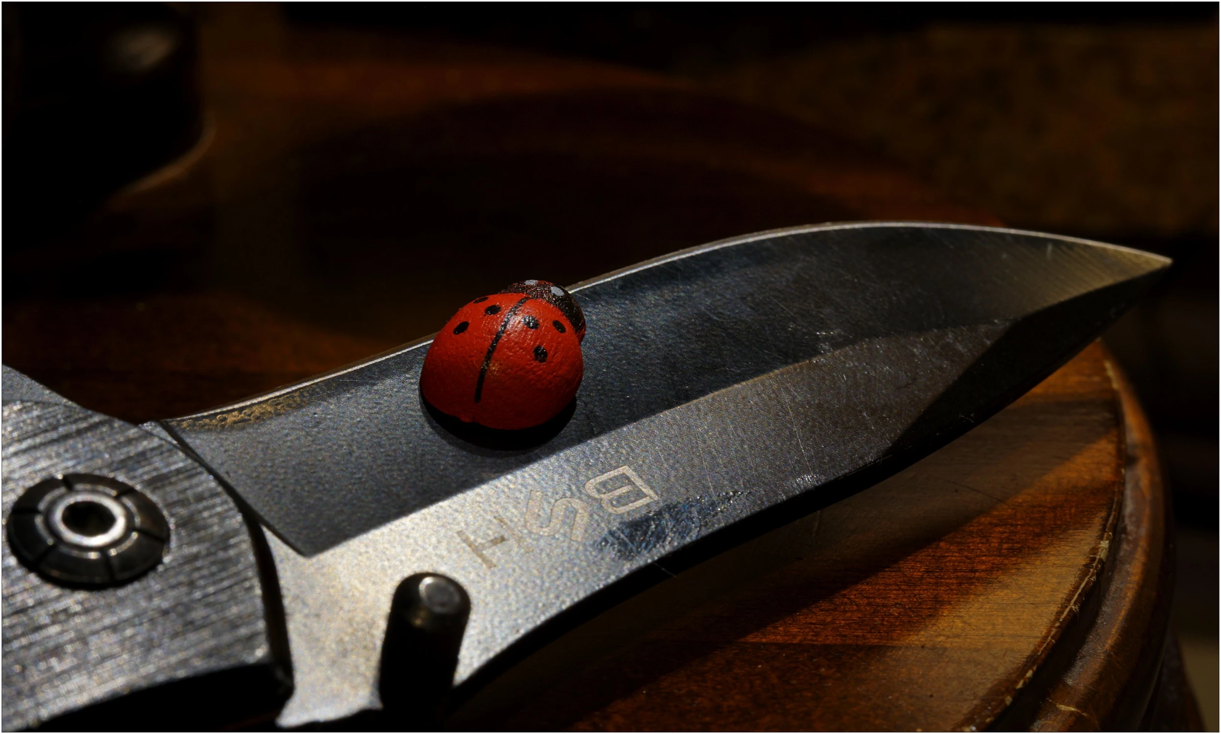 Czasem niektóre sprawy trzeba postawić na ostrzu noża.