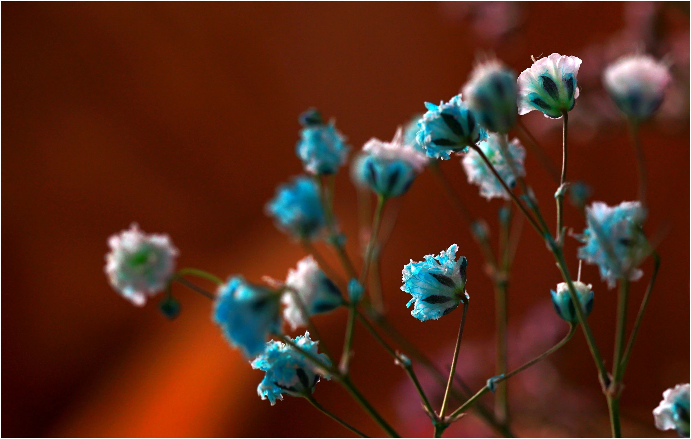 Z rogu sali lepsza widoczność. 