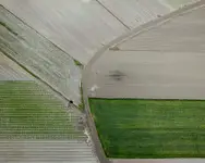 Wycieczka Sulejów