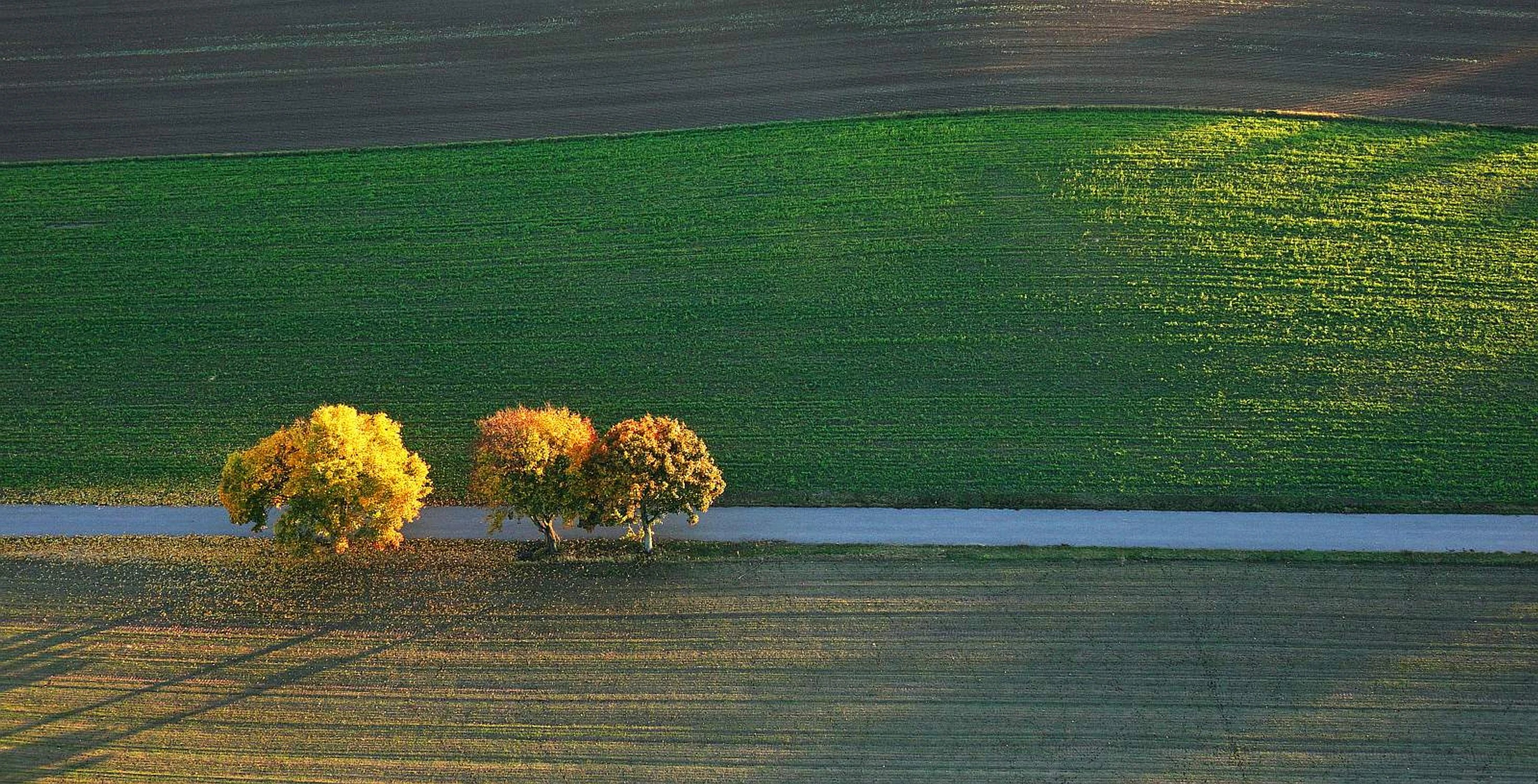Posprzątane 