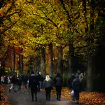 Pod złocistym dachem CC