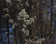 Jeszcze szaro, ale będzie zielono