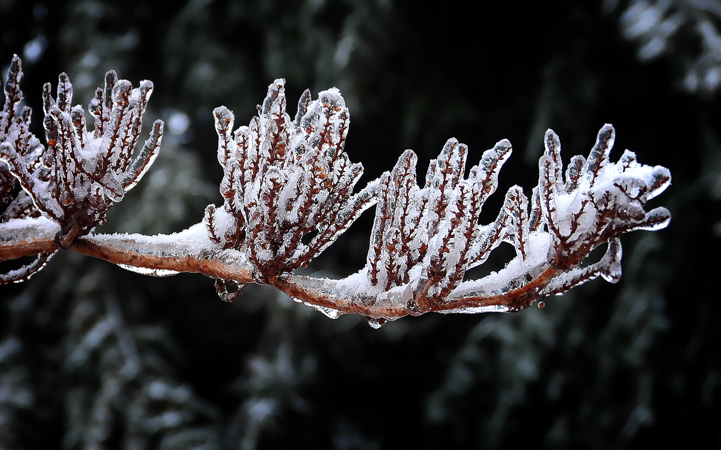 Ręce proszące na mrozie