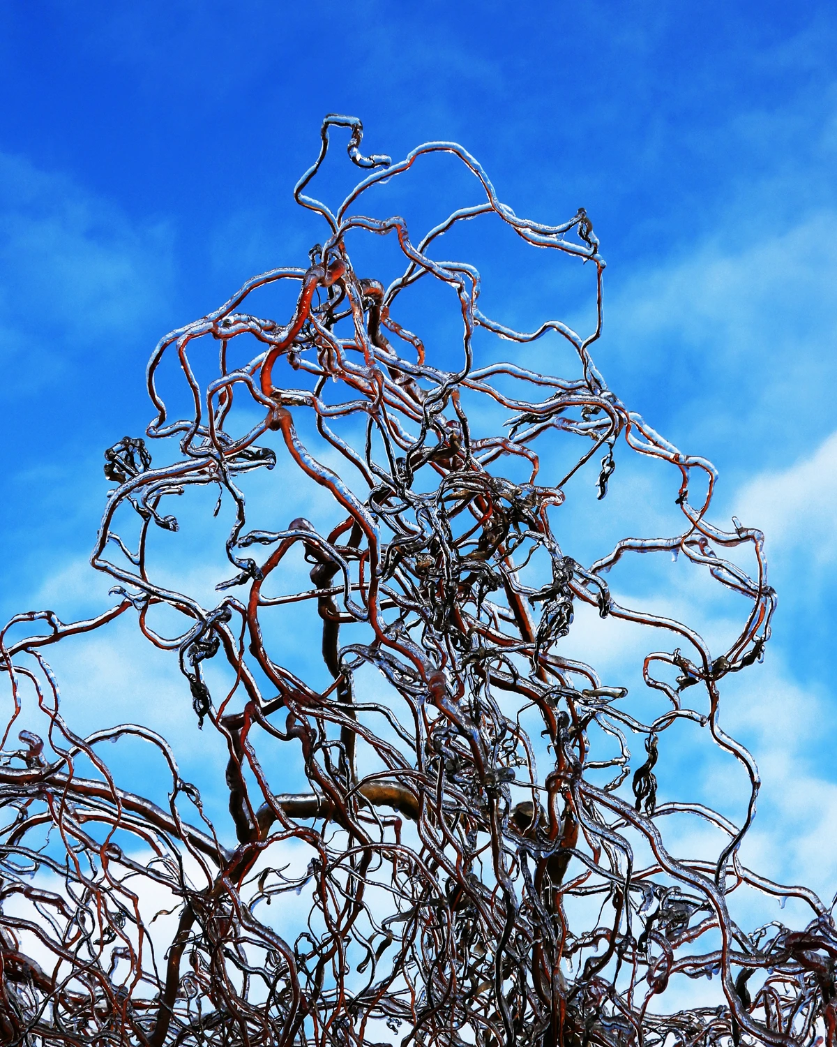 Do nieba, lód mi nie przeszkodzi