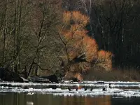 Przewiosenne roztopy