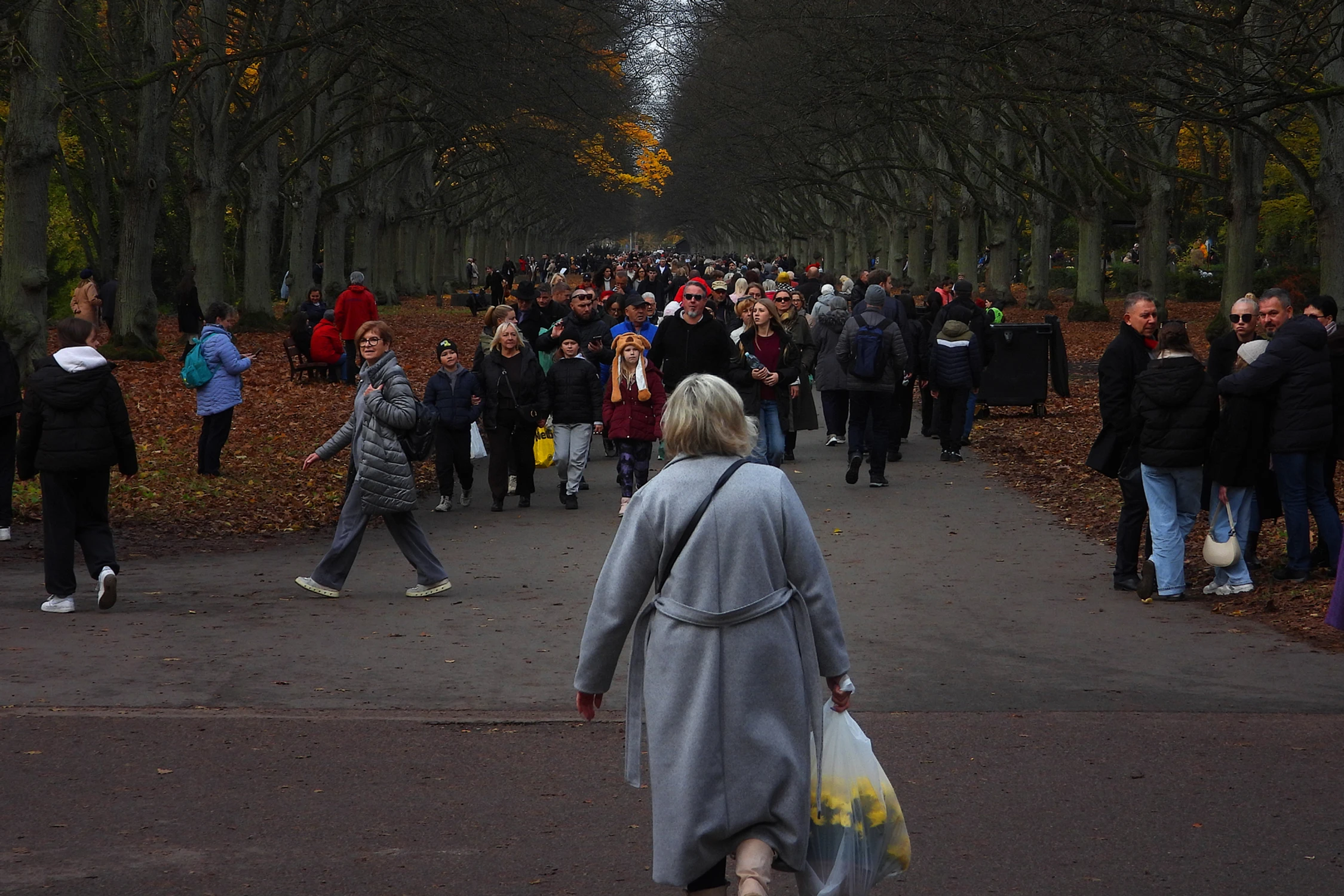 Listopada pierwszego wspomnienie