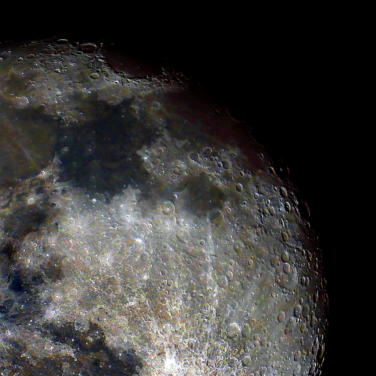 Nasz pryszczaty Sąsiad