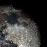 Nasz pryszczaty Sąsiad