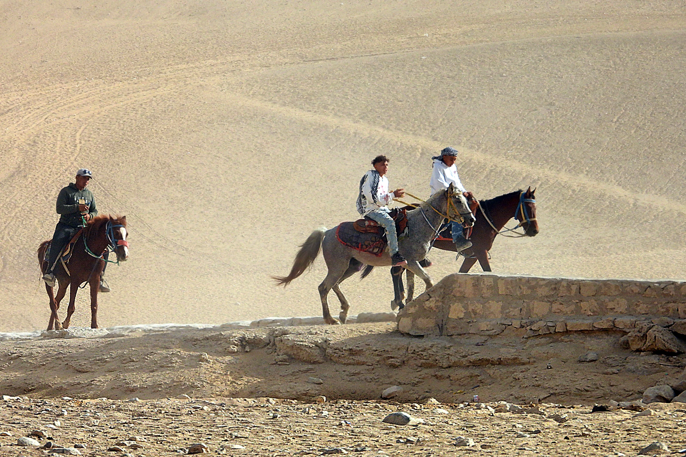 Na wielbłądzie lub konno