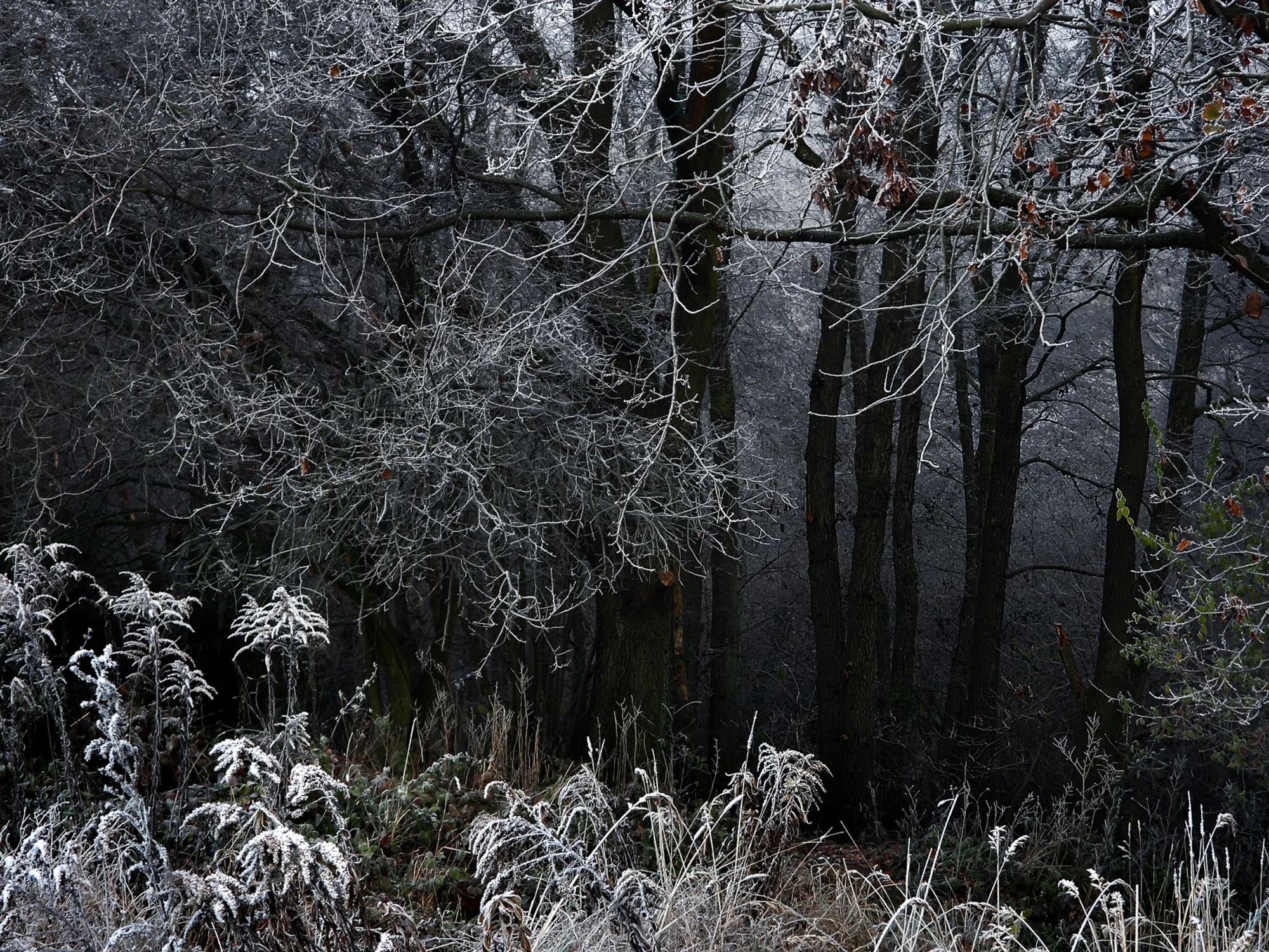 Przed otchłanią w białej oprawie