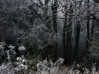 Przed otchłanią w białej oprawie