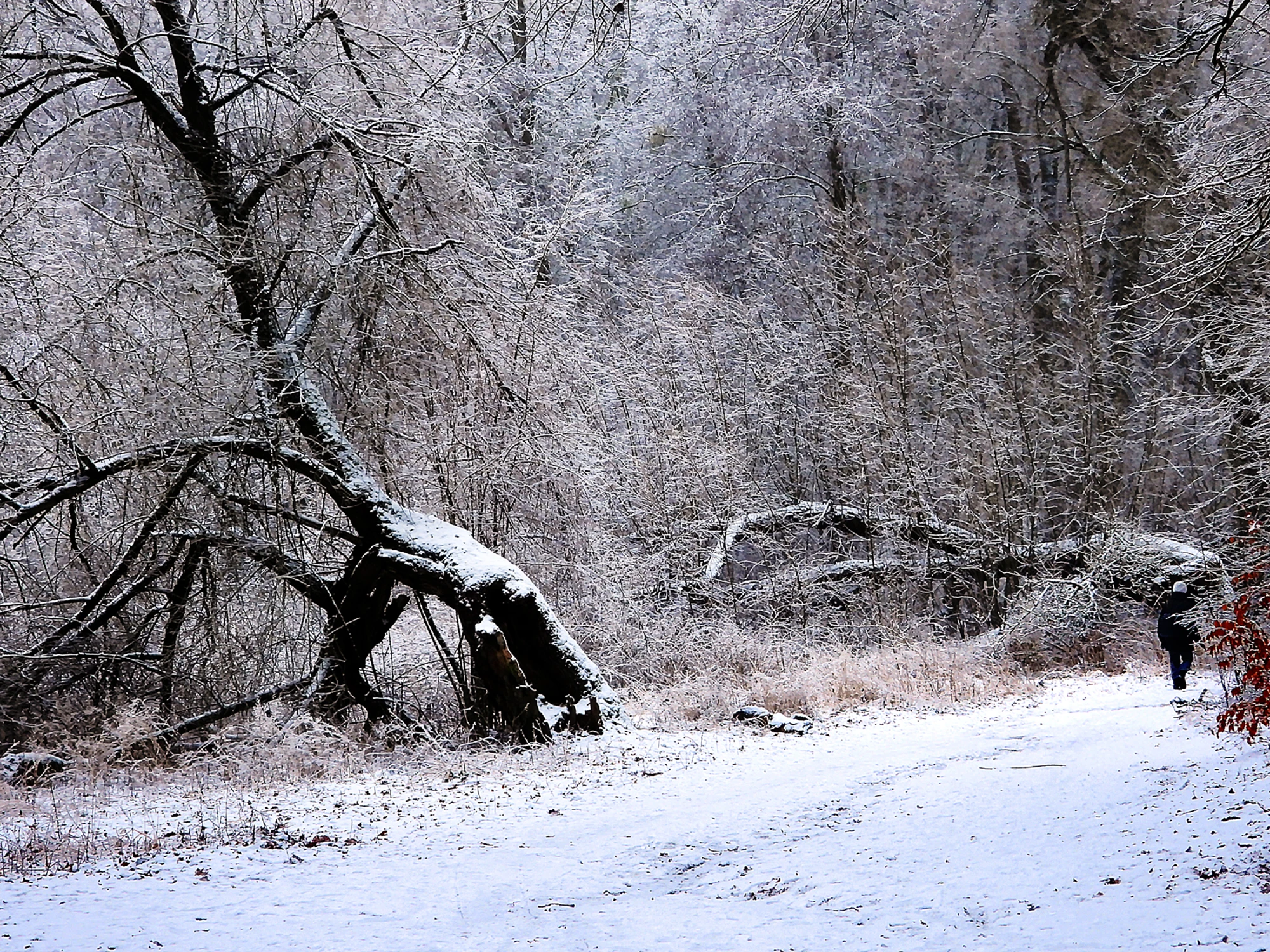 Wracam do domu,  jest zimno