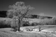 Szczęśliwego Nowego Roku! :)