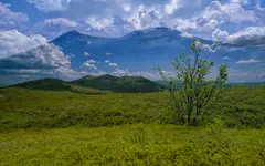 Bieszczadzki multipstryk :)