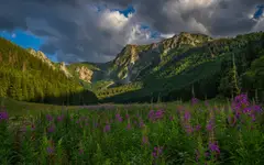 Dolina Małej Łąki