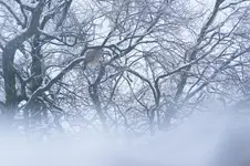 Zima w Magurskim Parku Narodowym