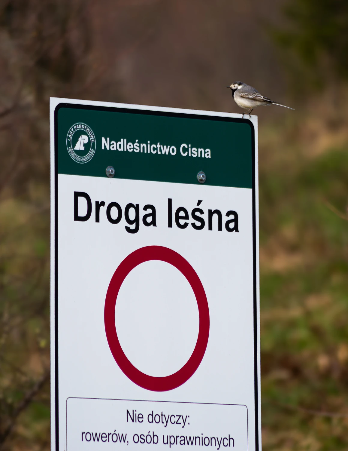 Dalej tylko pieszo...