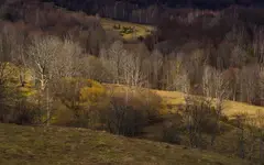 Kolory bieszczadzkiego przedwiośnia