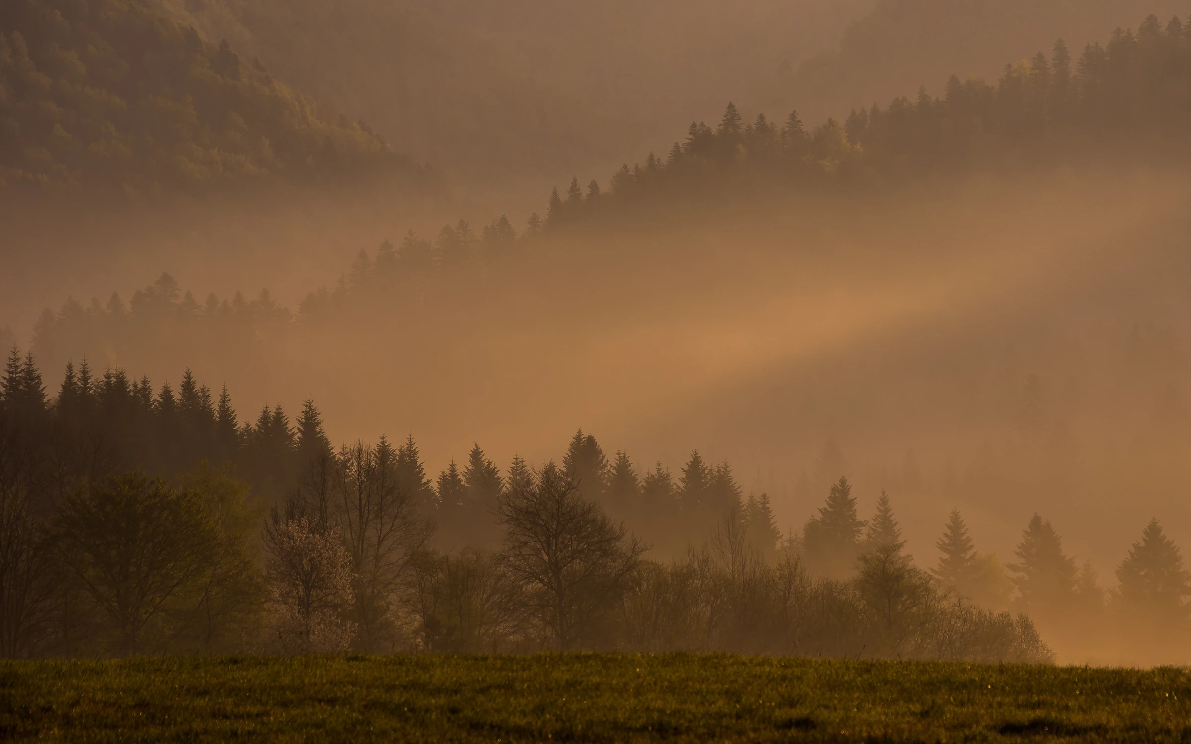 Bieszczadzki poranek