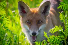 Cześć! Zaprzyjaźnimy się? ;)