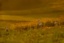 Lato, lato, ech że ty...