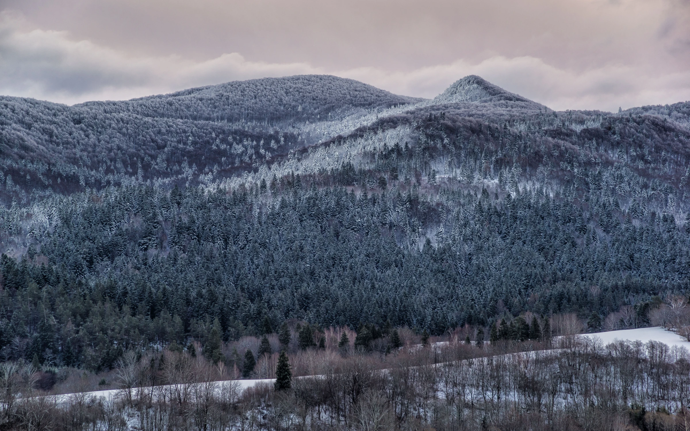 Bieszczadzki Giewont