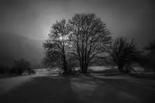 Poranek w Beskidzie Niskim