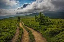 Bieszczadzką ścieżką