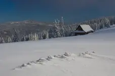 Wesołych świąt! :)