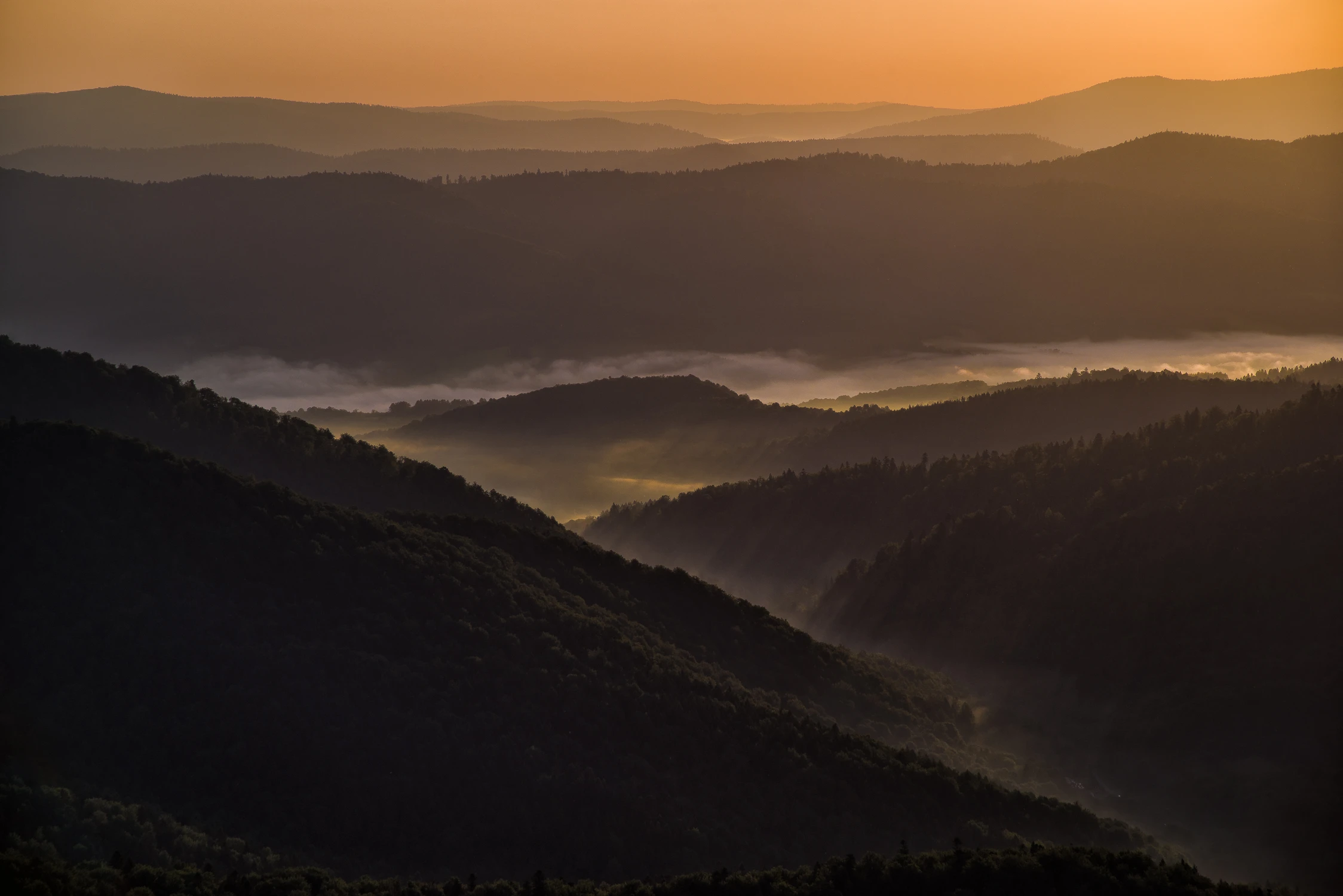 Bieszczadzki poranek