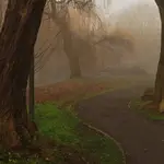 Krętymi ścieżkami człowiek chadza...