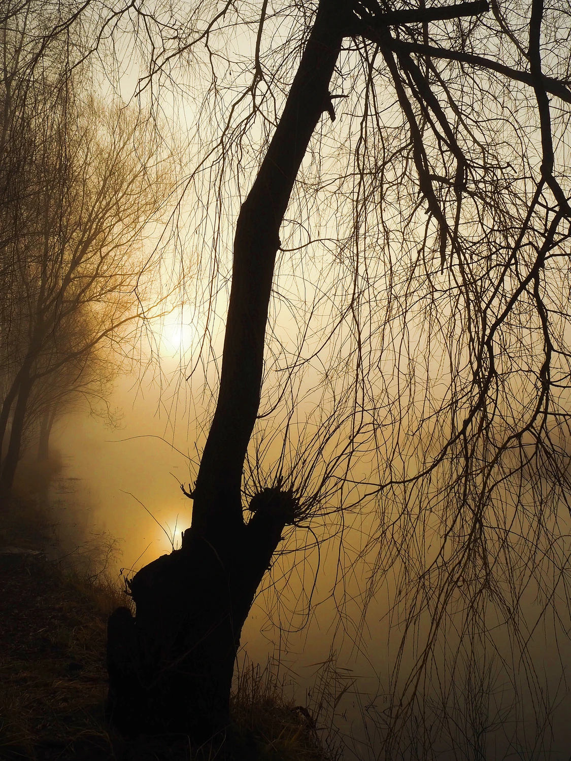 Poranek nad wodą 