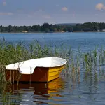 Oczekiwanie