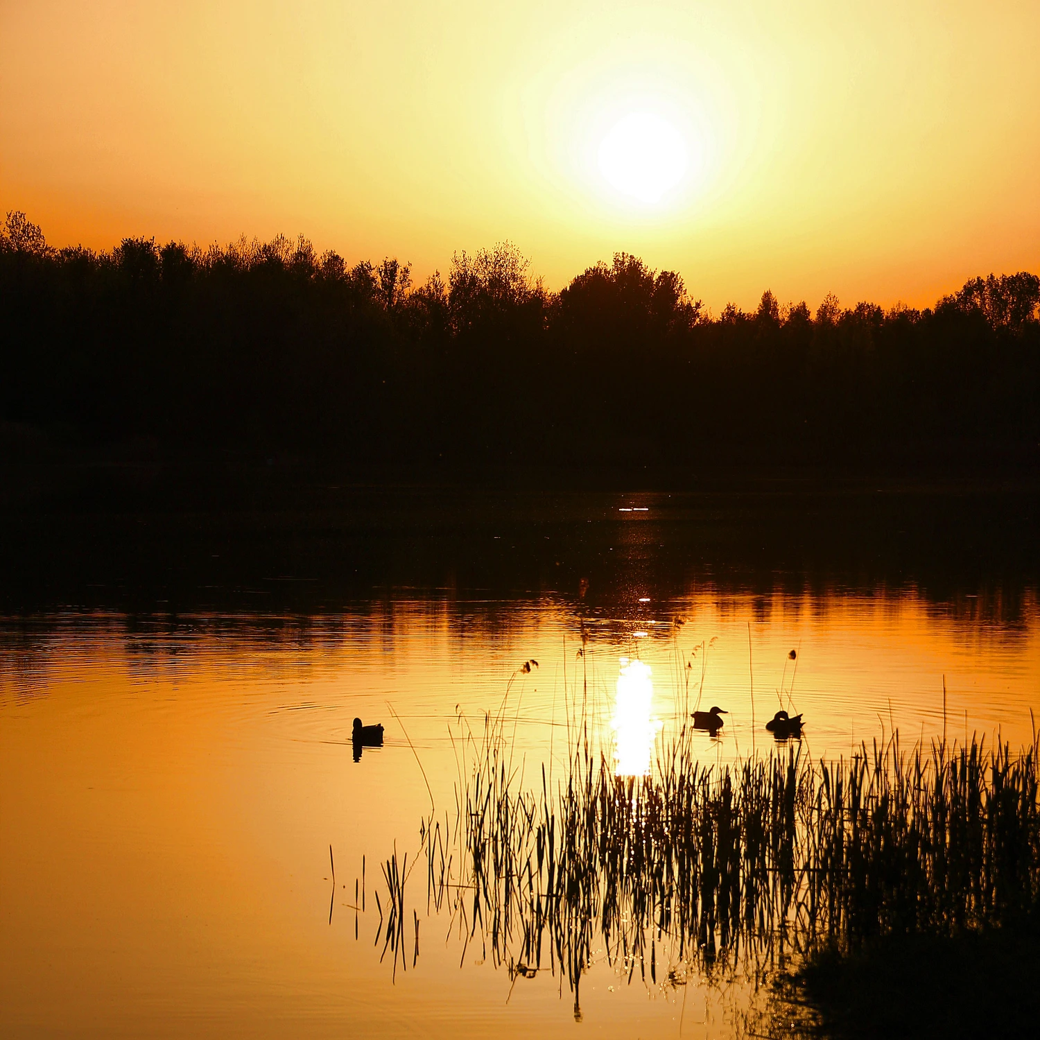 Nad wodą 