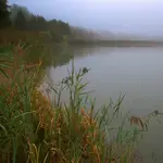 Nad wodą 