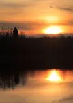 Wieża