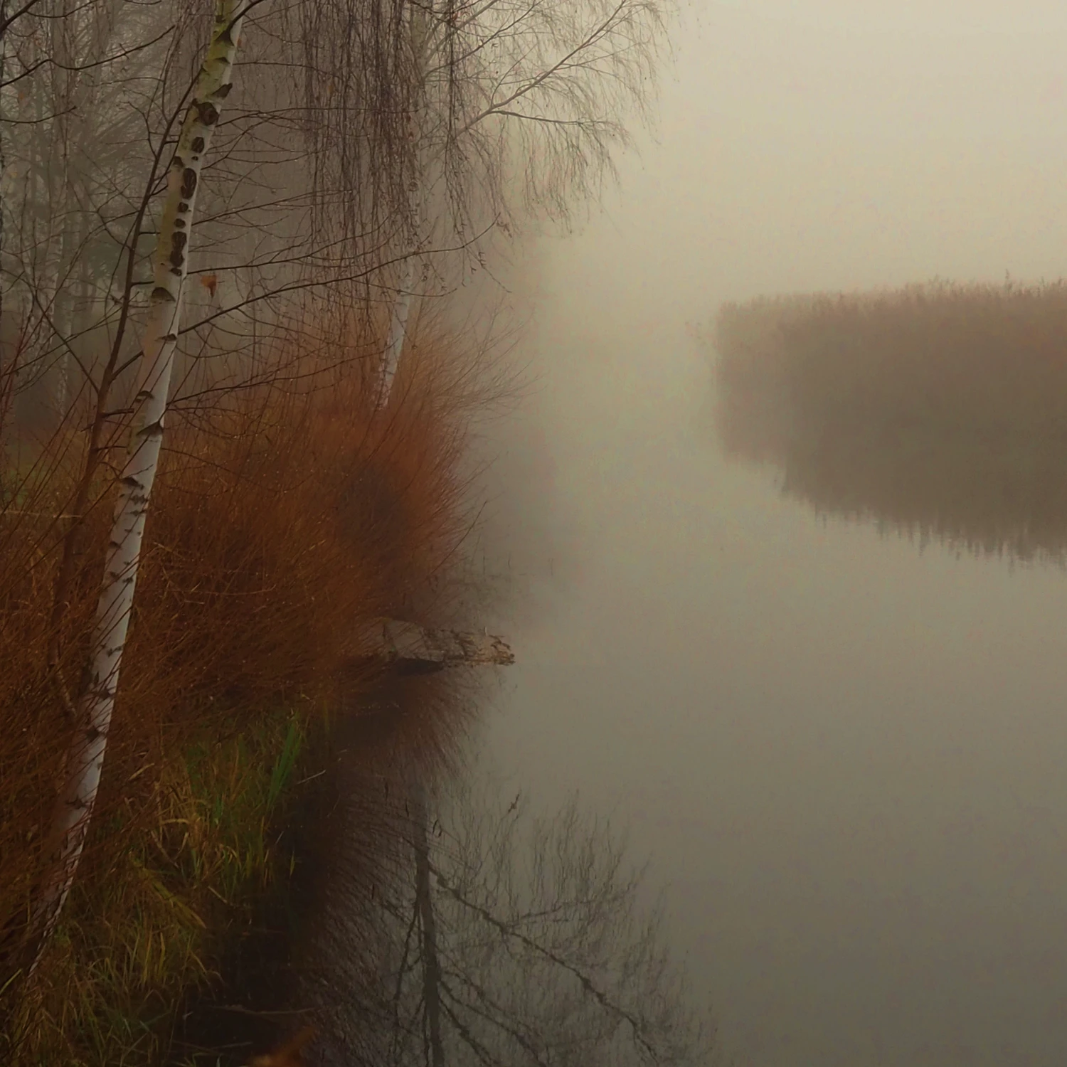 Nad wodą 